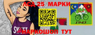 гидра Будённовск