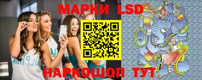 гидра Будённовск