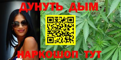 гидра Будённовск