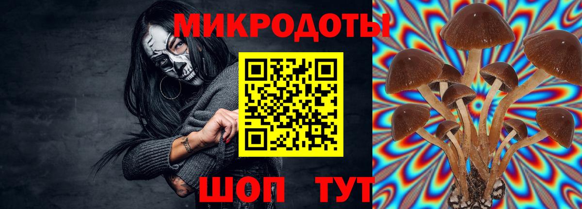 Псилоцибиновые грибы мицелий  Вход с VPN  Кушва  Галлюциногенные грибы Cubensis 