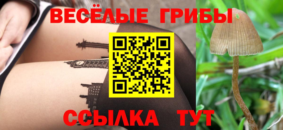 ГАШ  Вход с VPN  Метамфетамин  ГЕРОИН  МЕФ кристаллы  Канабис  Марихуана  Кушва  MDMA 
